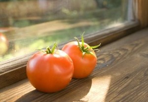 Window Sill Replaced