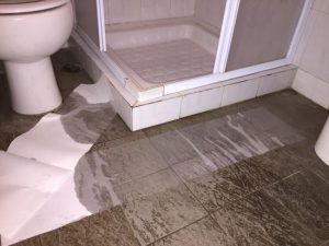 Water Leak in Shower